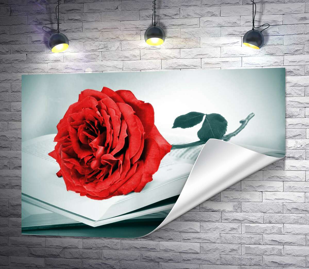 друк Рубіново-червона троянда лежить на тонких сторінках книги