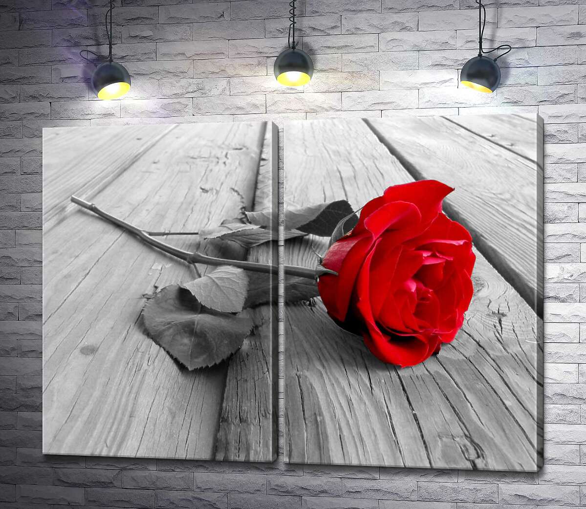 модульная картина Стройный цветок красной розы лежит на деревянном столе