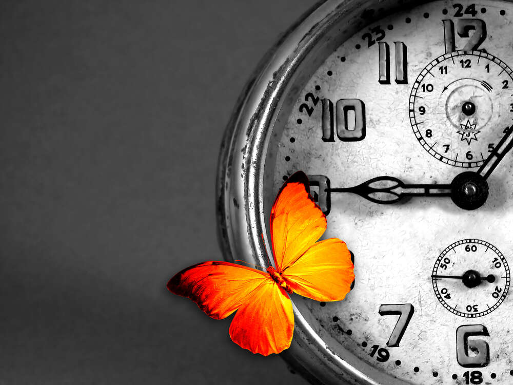 картина-постер Оранжевая бабочка отдыхает на винтажных часах