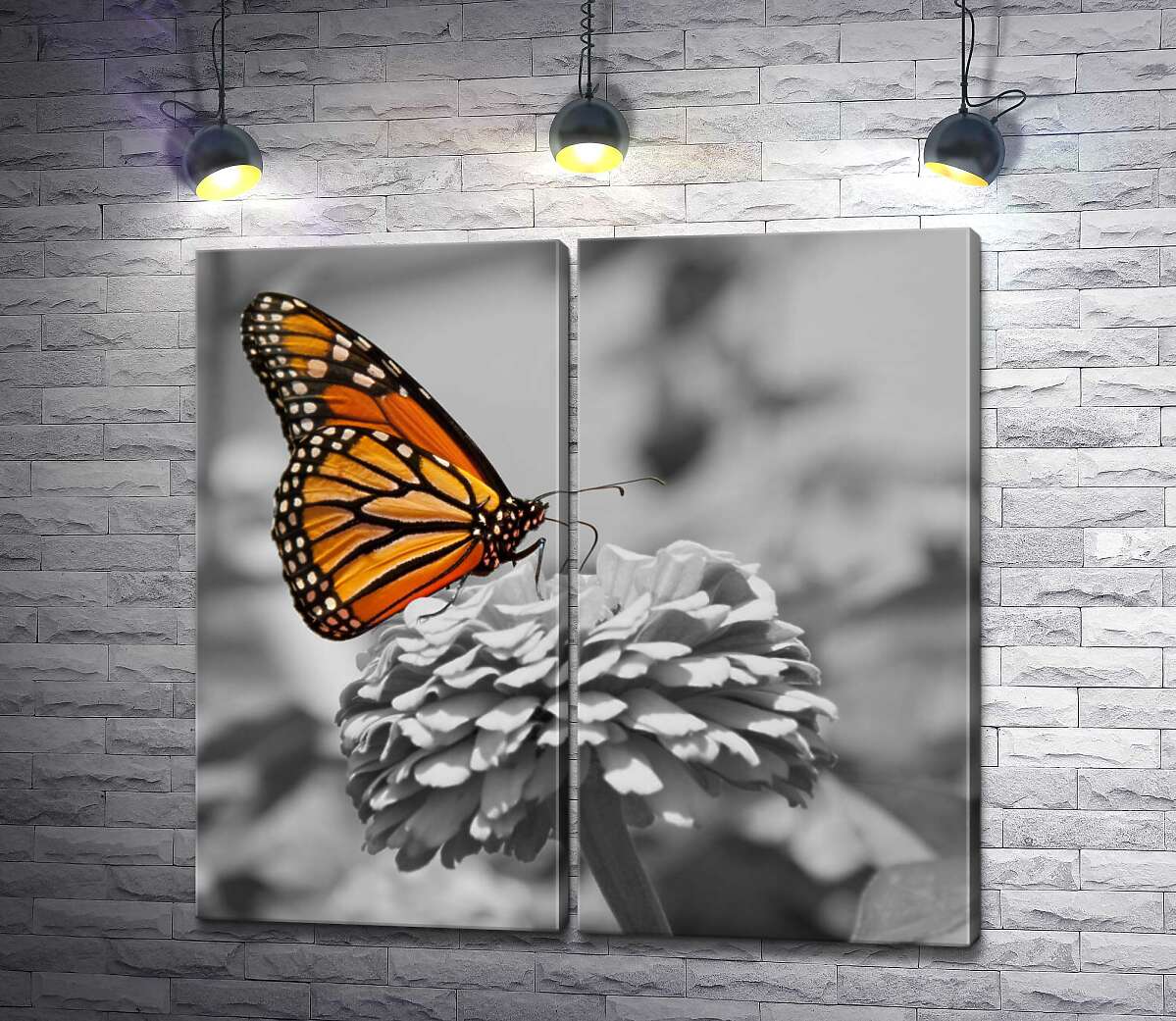 модульна картина Розкішний помаранчевий метелик монарх сів на квітку