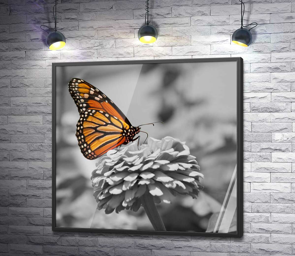 постер Розкішний помаранчевий метелик монарх сів на квітку