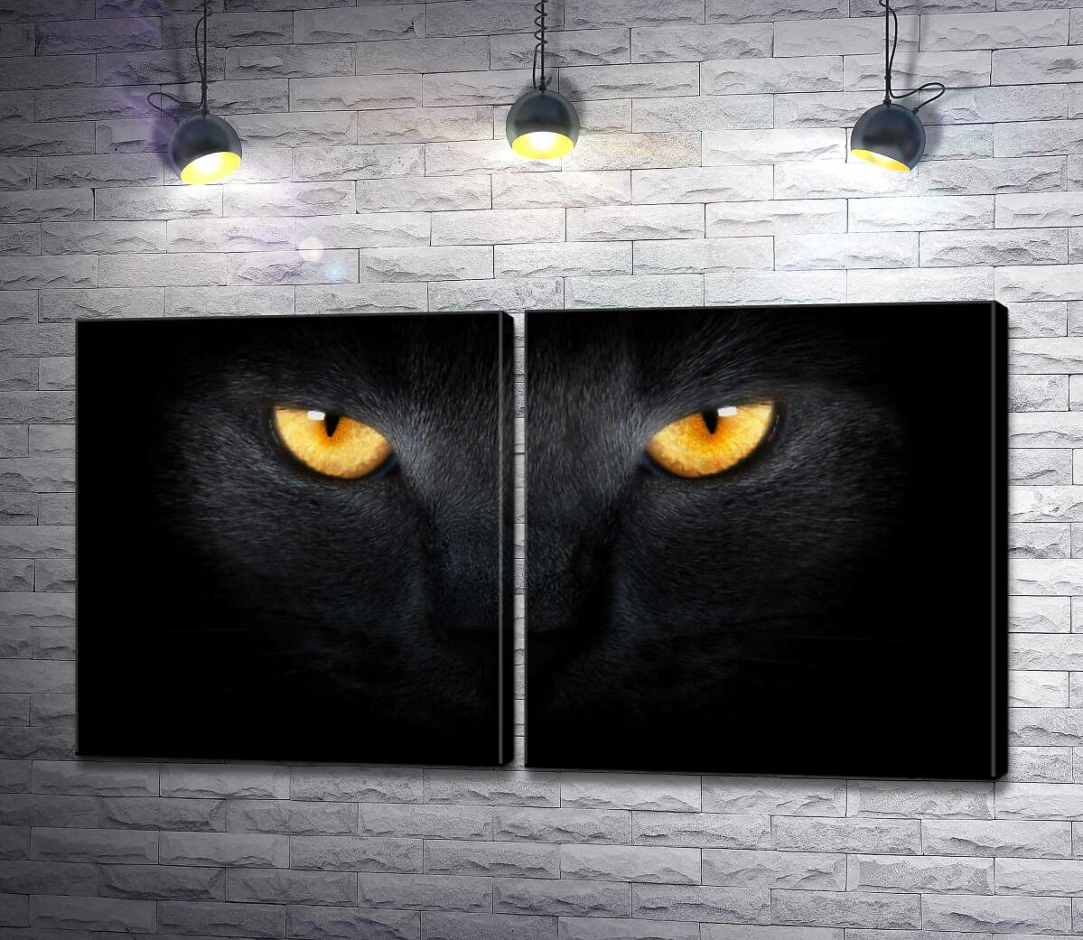 модульная картина Оранжевые огни глаз черной кошки