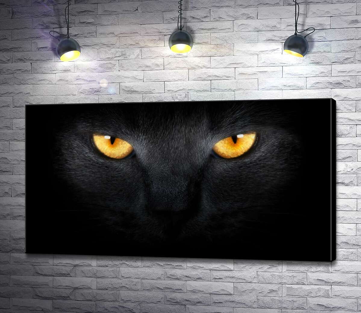 картина Оранжевые огни глаз черной кошки