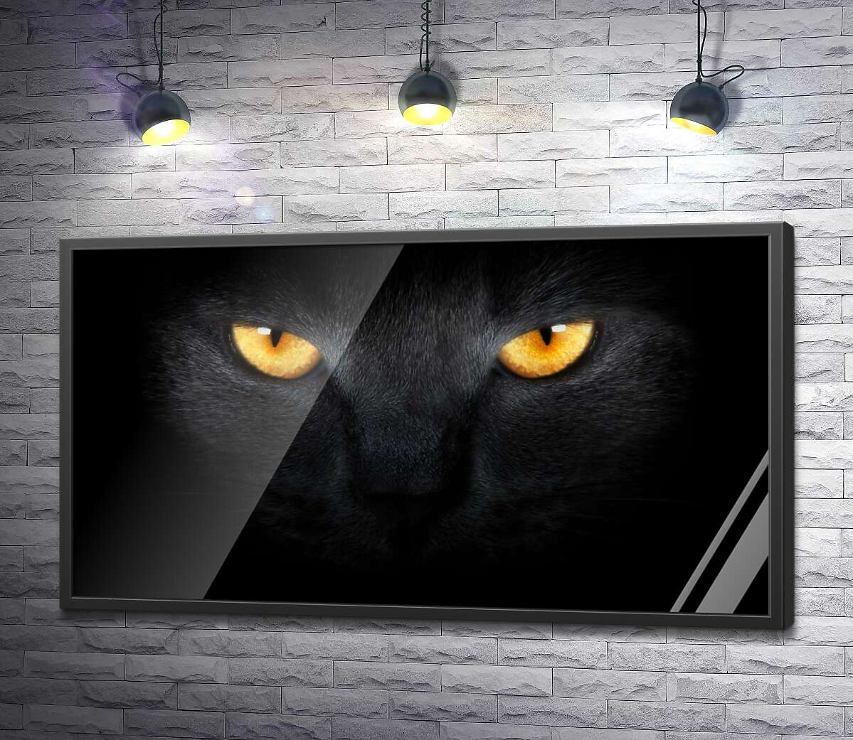 постер Оранжевые огни глаз черной кошки