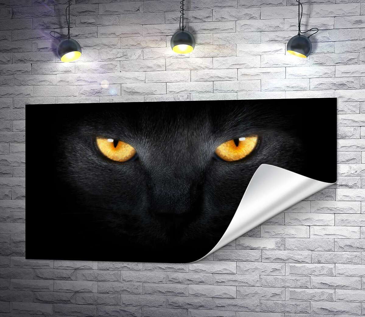 друк Помаранчеві вогні очей чорної кішки