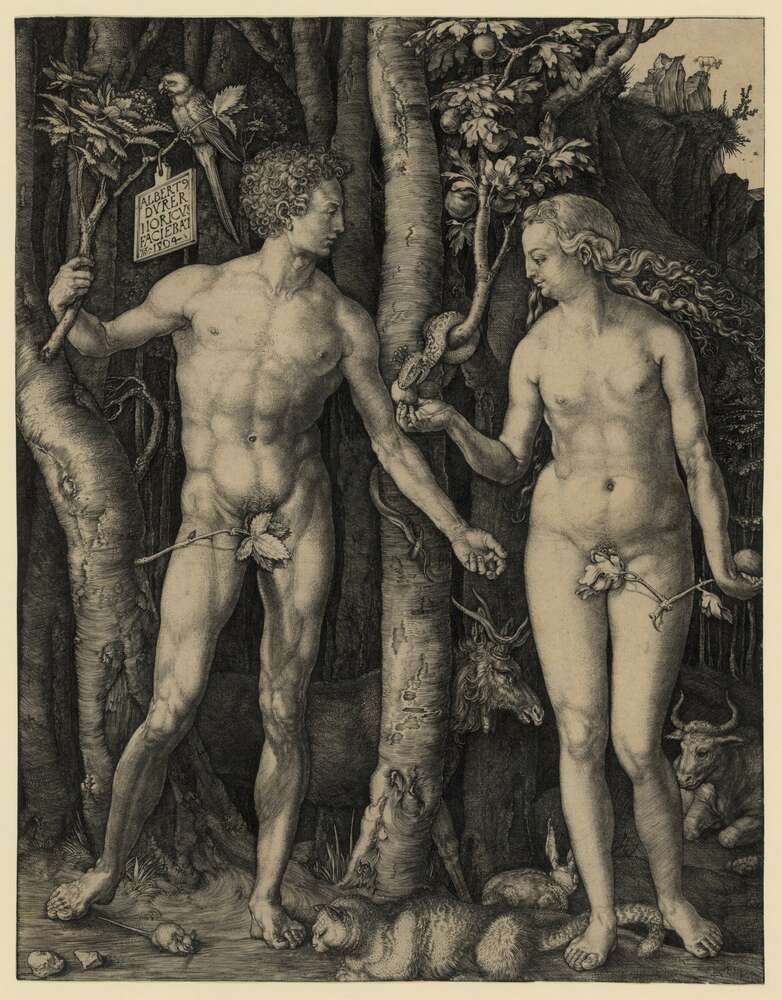 картина-постер Адам і Єва (Adam and Eve) - Альбрехт Дюрер (Albrecht Durer)