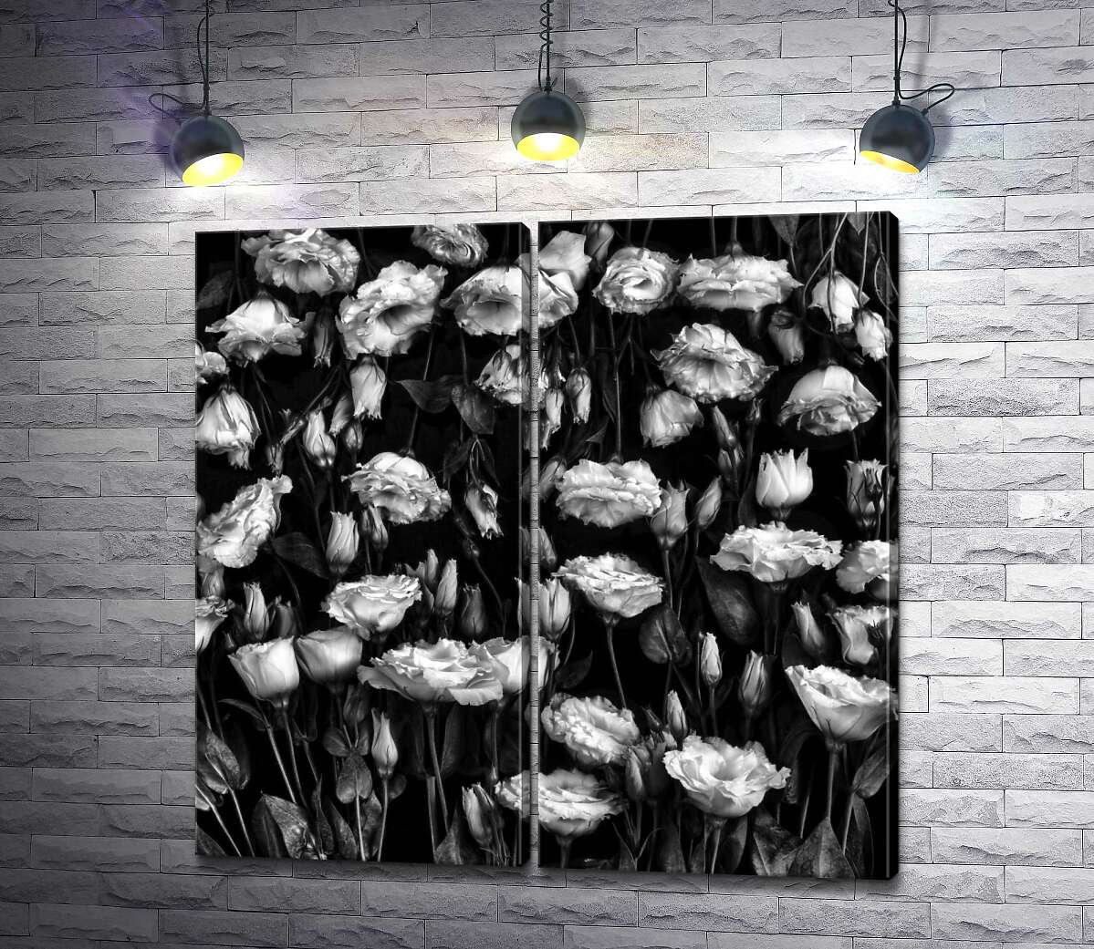 модульная картина Черно-белый тон нежного ковра цветов лизиантуса