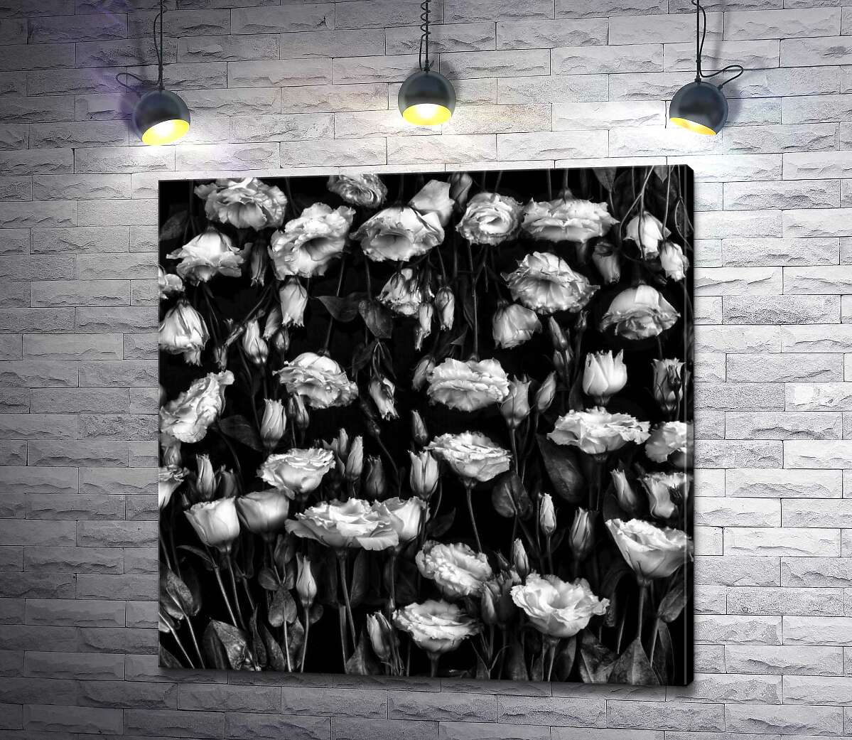 картина Черно-белый тон нежного ковра цветов лизиантуса