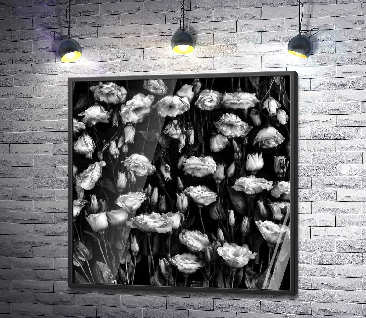 постер Черно-белый тон нежного ковра цветов лизиантуса