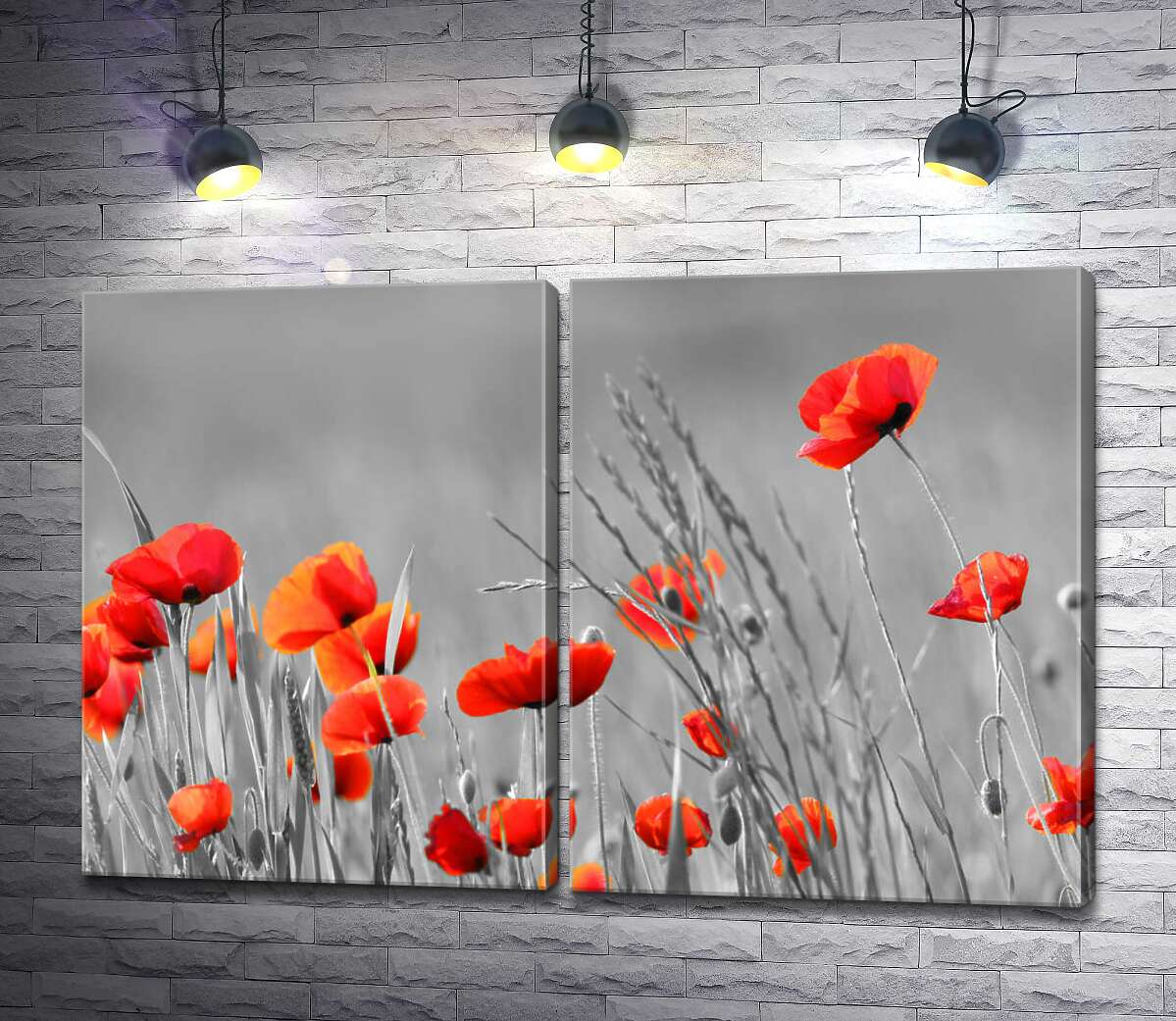 модульна картина Помаранчево-червоні квіти маків височіють над травою