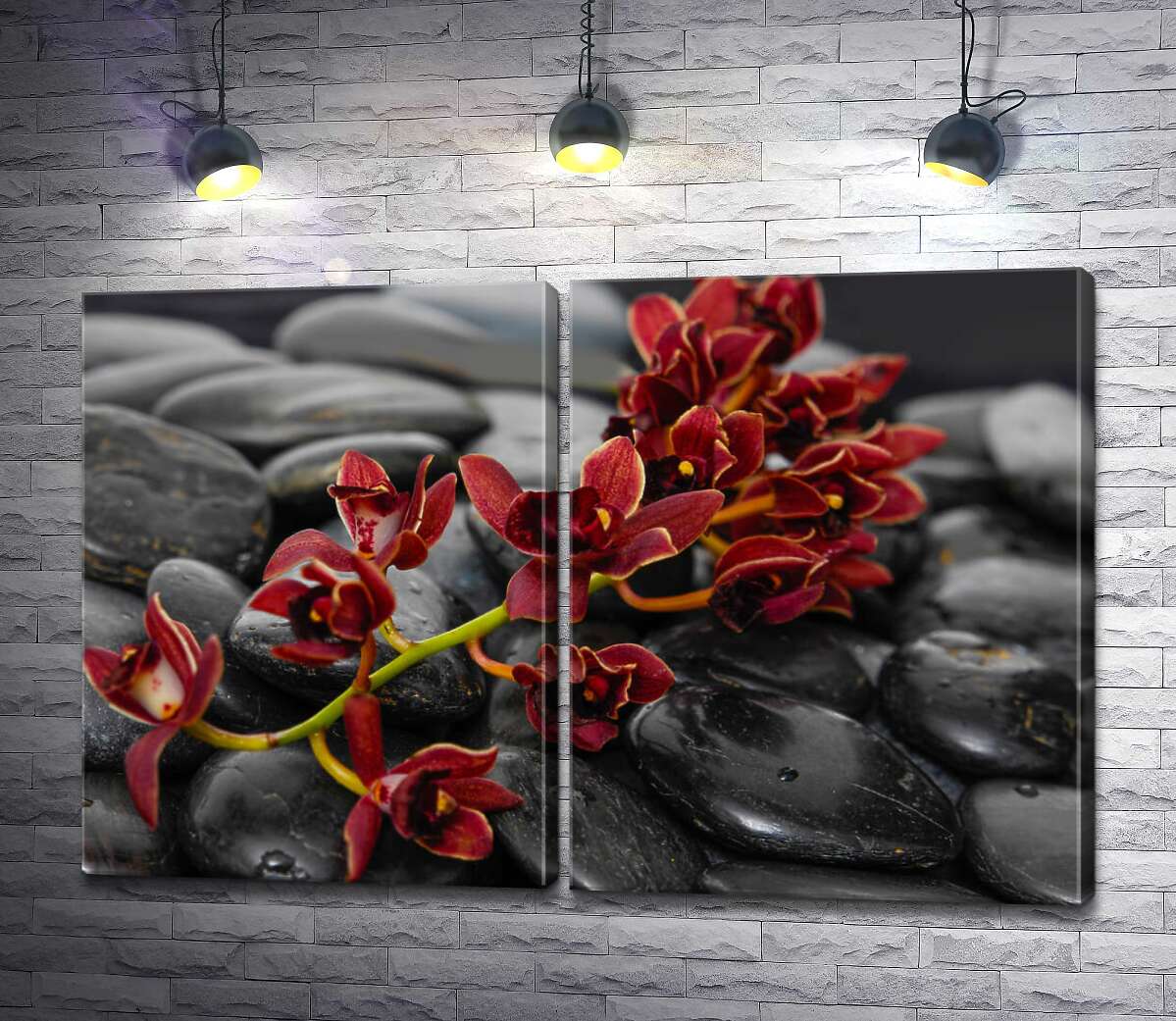 модульна картина Маленькі квіти орхідей вкрили блискуче чорне каміння