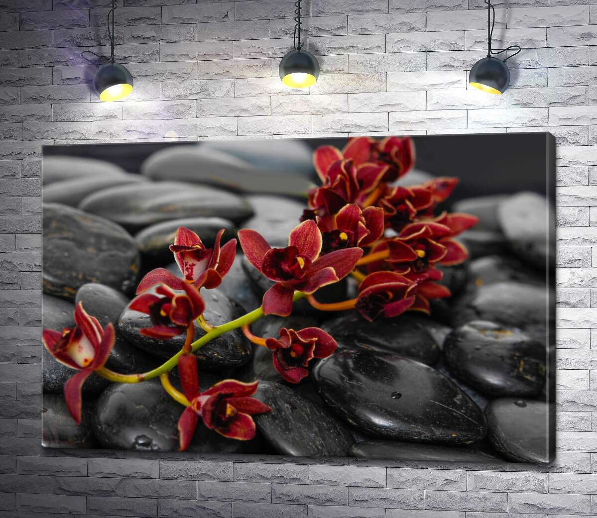 картина Маленькі квіти орхідей вкрили блискуче чорне каміння