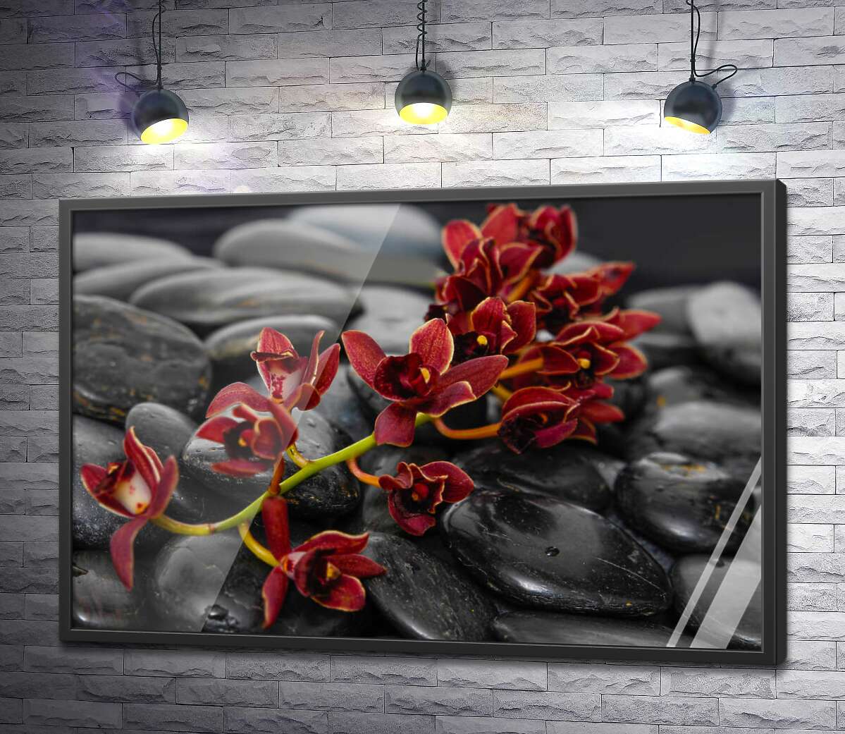 постер Маленькі квіти орхідей вкрили блискуче чорне каміння