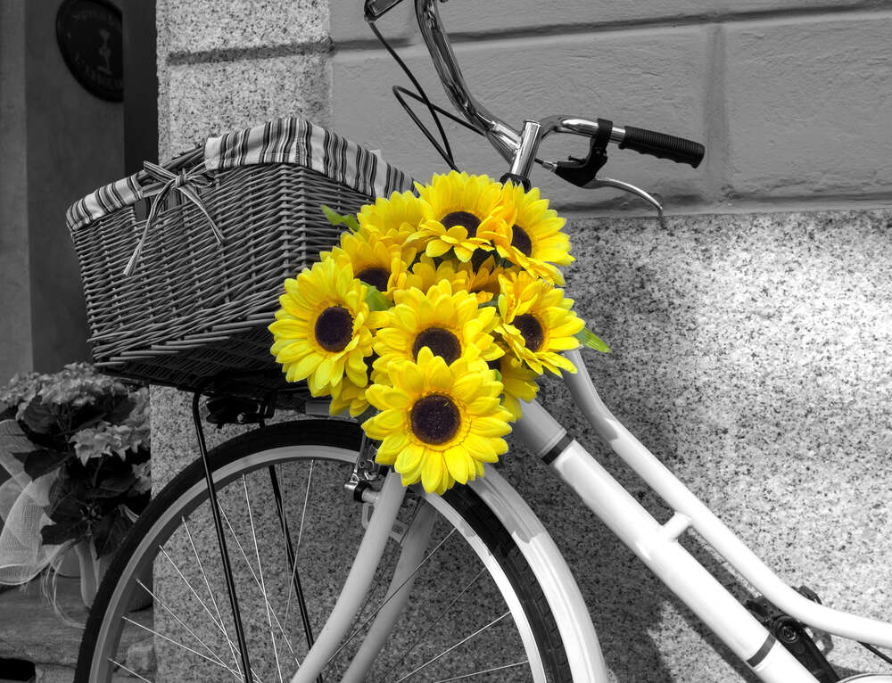 картина-постер Сяючі соняшники прикрашають руль велосипеда