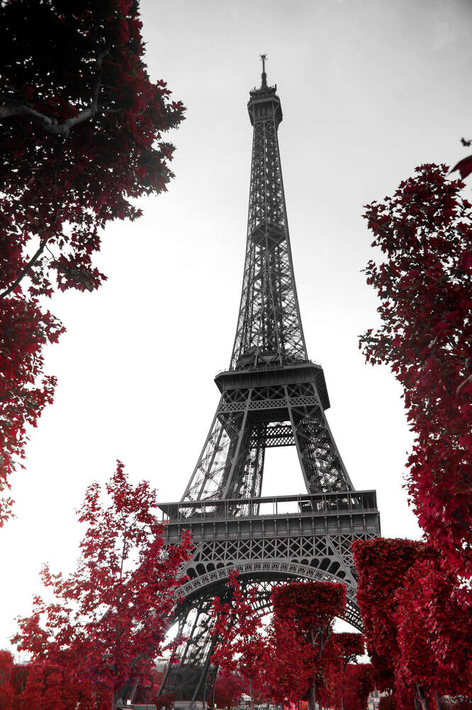картина-постер Полум'я осіннього листя навколо  Ейфелевої вежі (Eiffel tower)