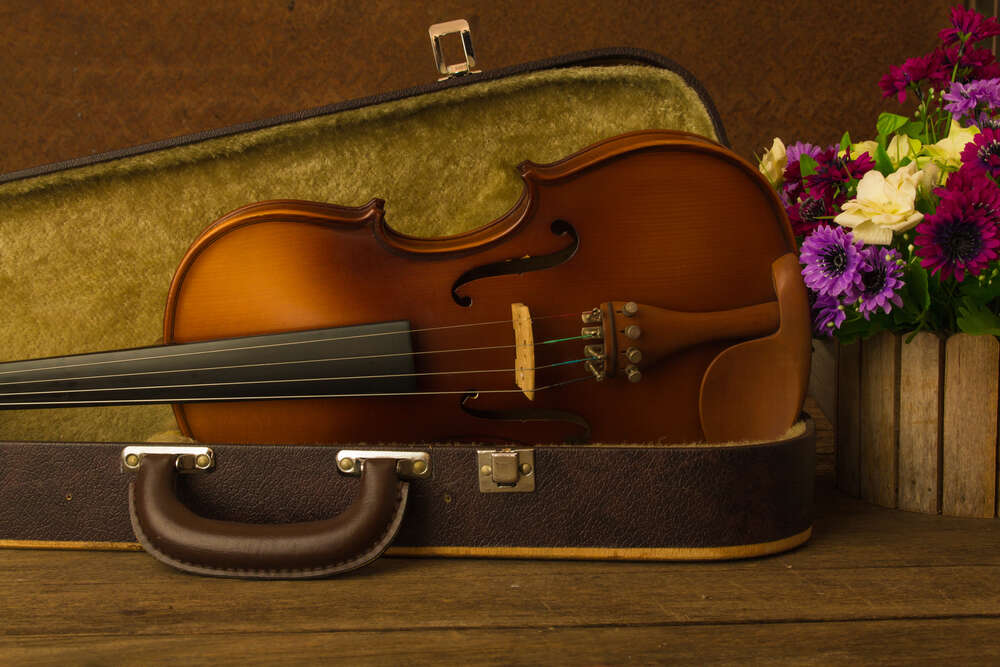 картина-постер Букет квітів прикрашає скрипку у футлярі