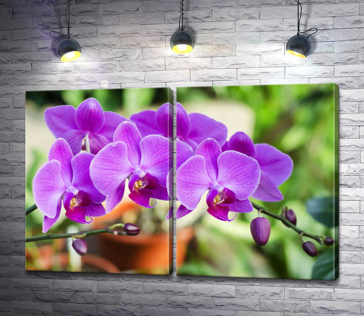 модульная картина Нежные цветы орхидеи в зеленом саду