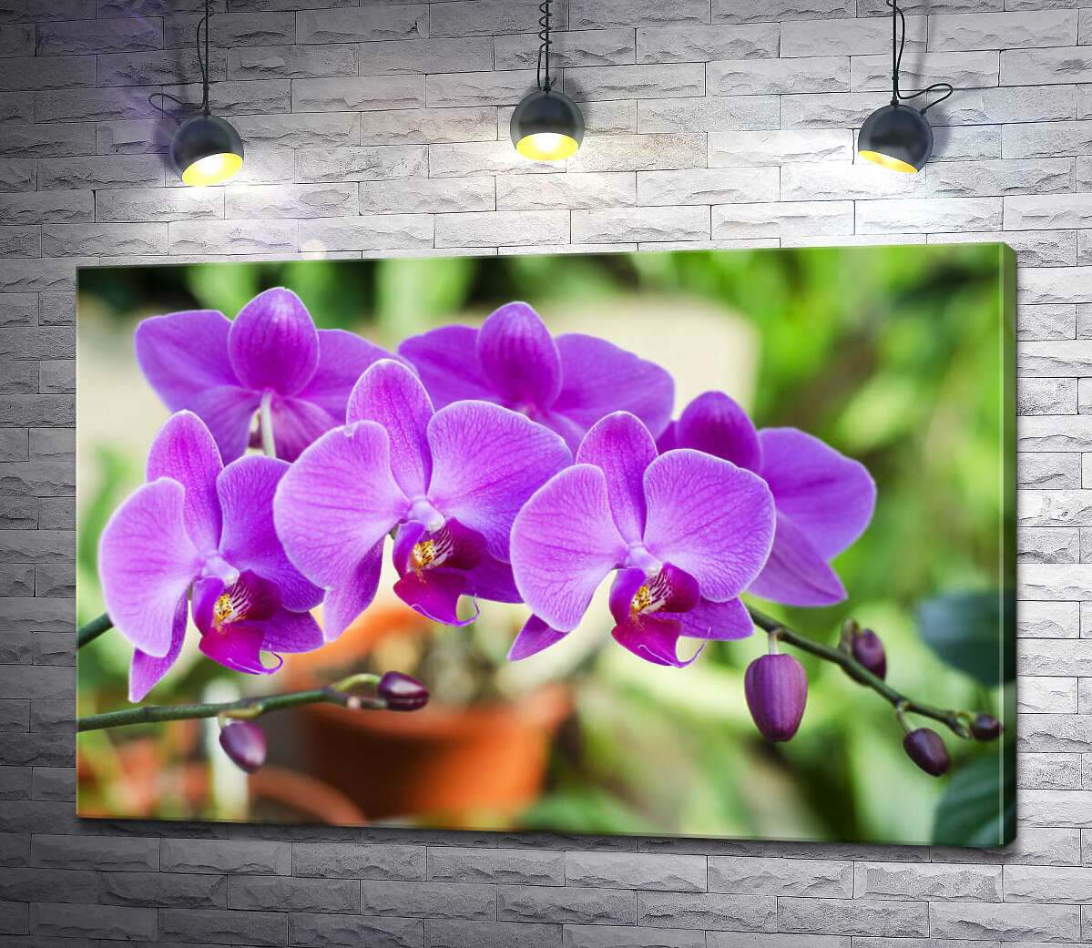 картина Нежные цветы орхидеи в зеленом саду