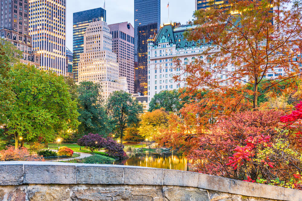 картина-постер Обилие цветов осени в Центральном парке (Central park)