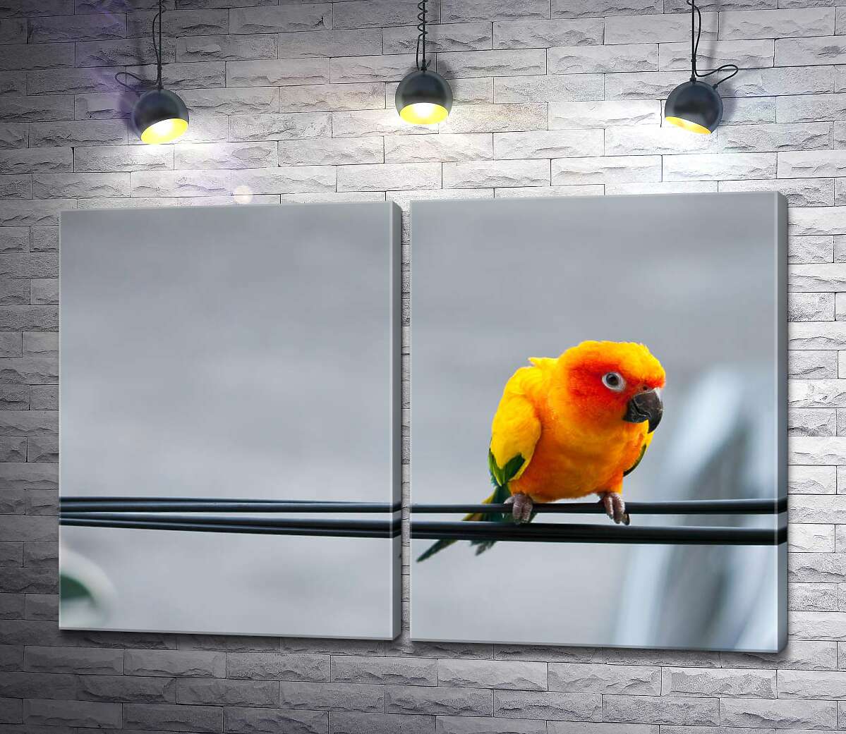 модульная картина Маленький желтый попугай сидит на проводе