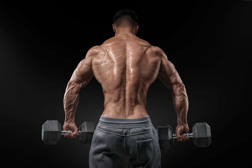 картина-постер Рельєф м'язів на спині бодібілдера, що підіймає гантелі