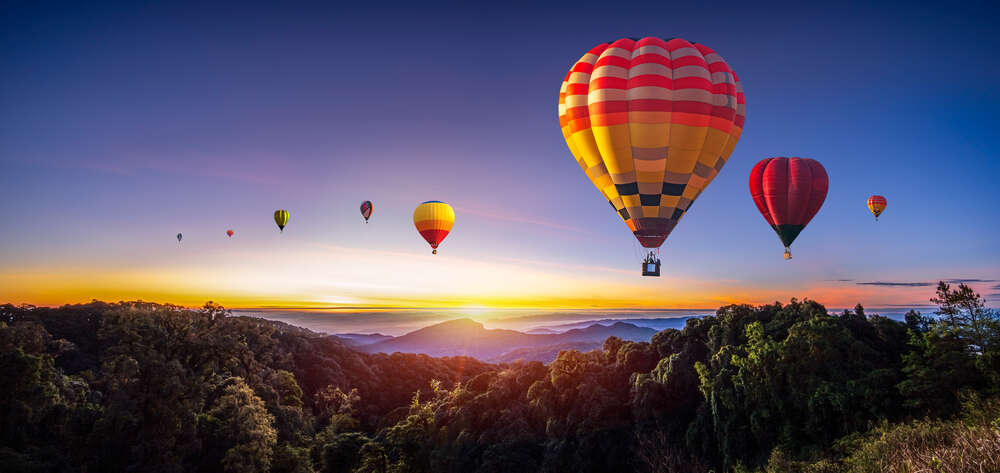 картина-постер Яркие воздушные шары летают над туманными вершинами лесных деревьев
