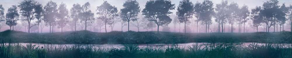 картина-постер Темные силуэты деревьев на туманном берегу реки