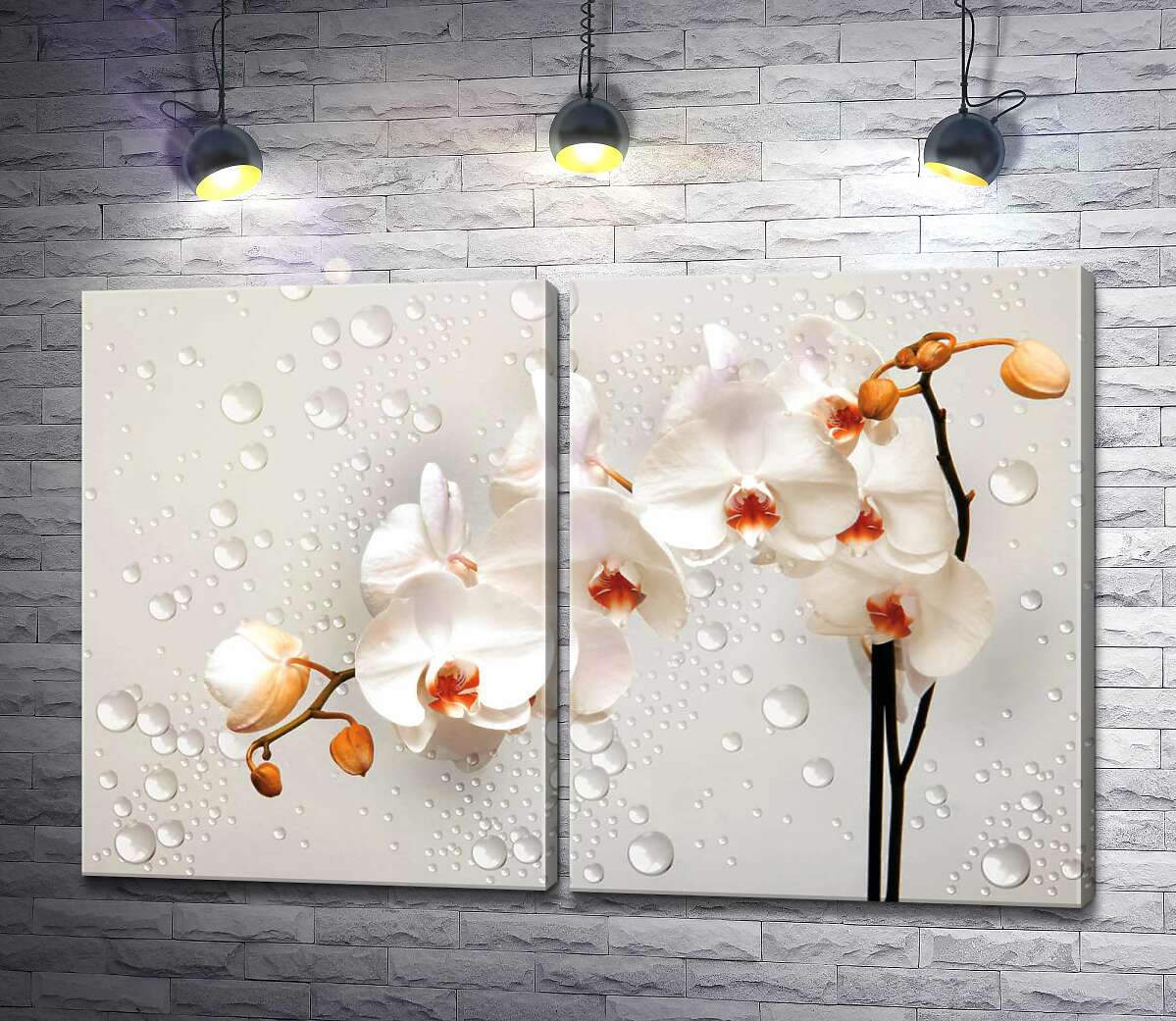 модульна картина Кремові квіти орхідей серед прозорих намистин води