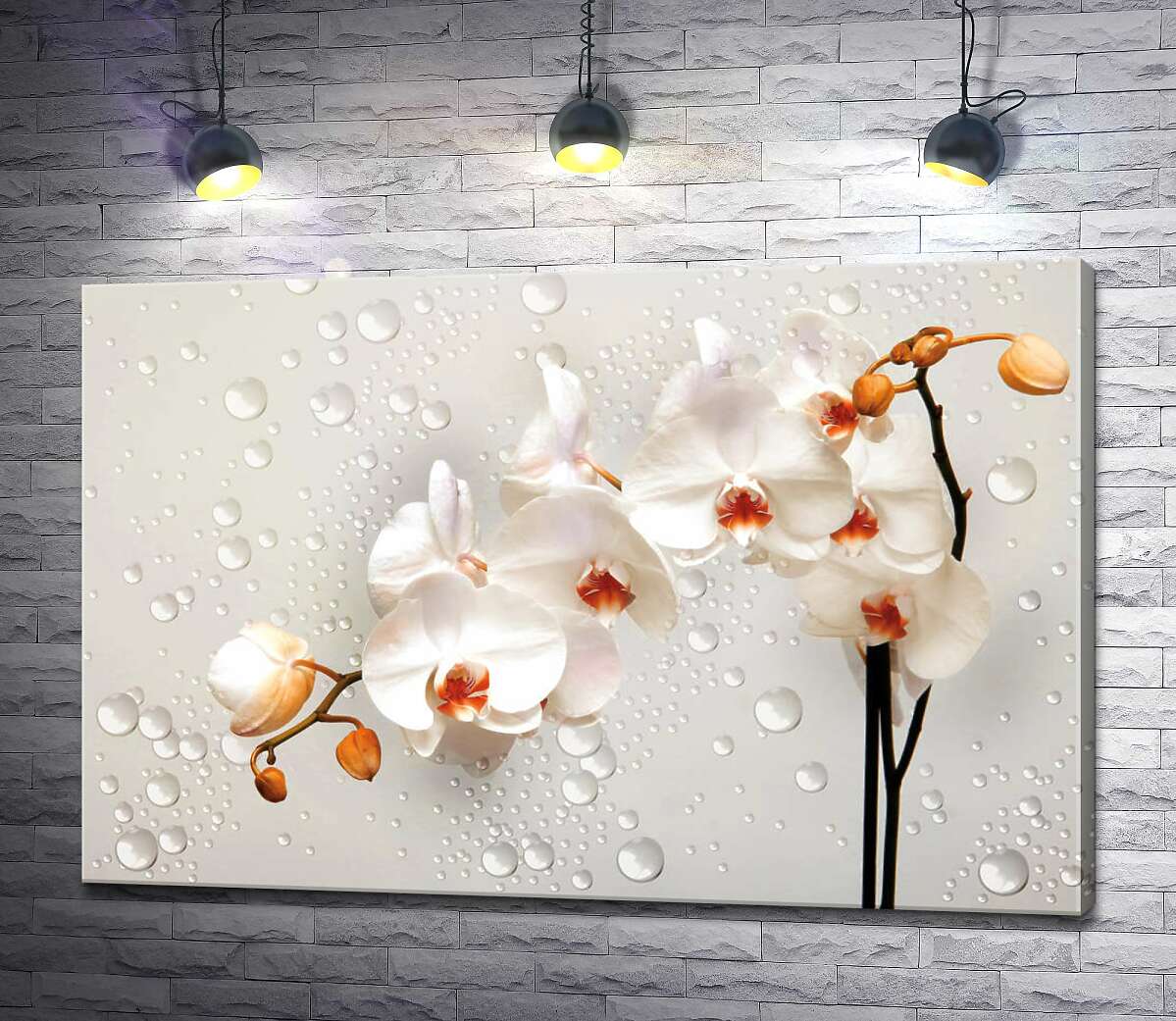картина Кремовые цветы орхидей среди прозрачных бусин воды