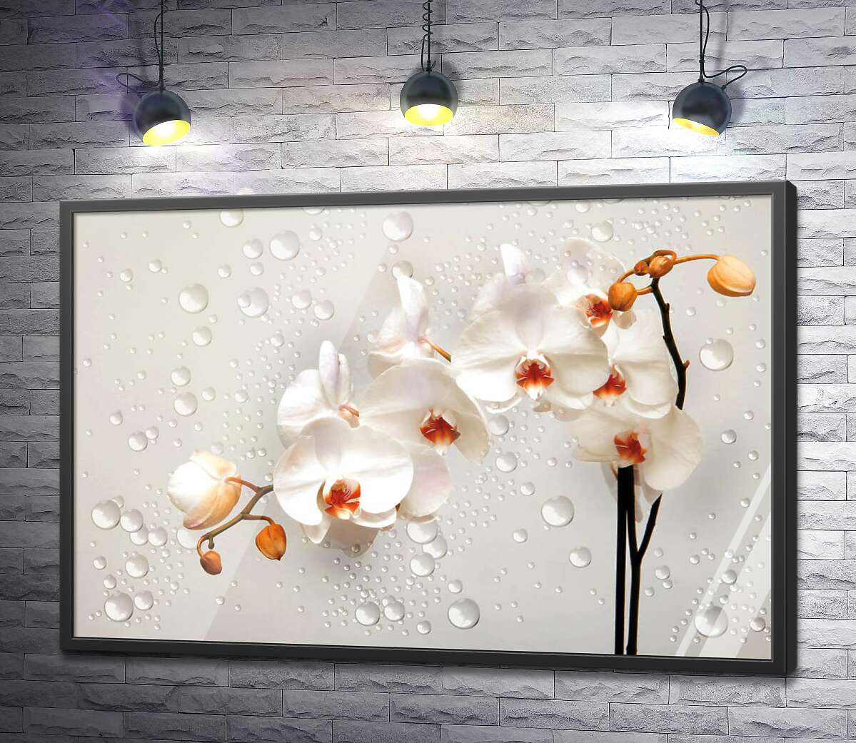 постер Кремові квіти орхідей серед прозорих намистин води