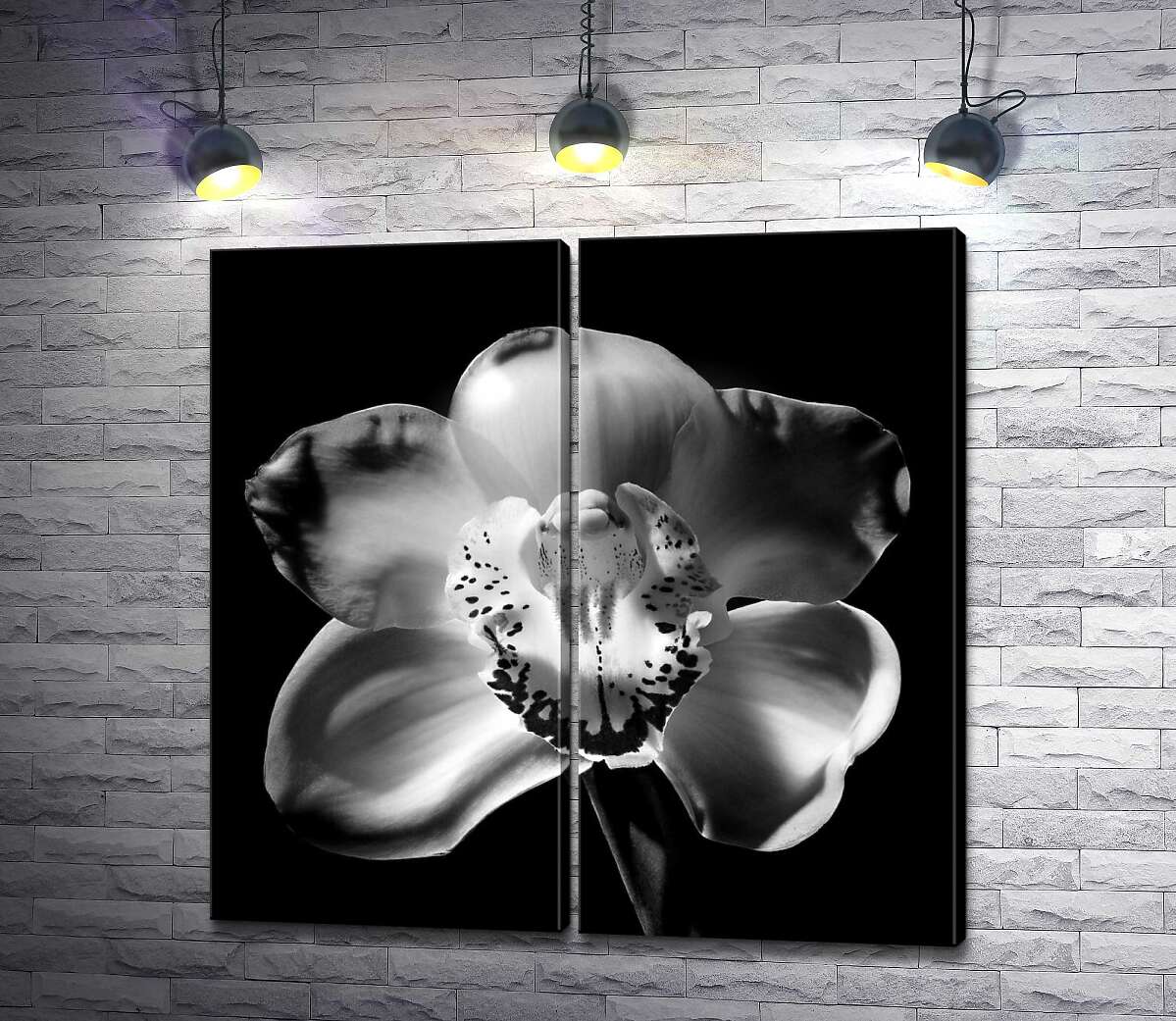 модульная картина Черно-белый силуэт цветка орхидеи
