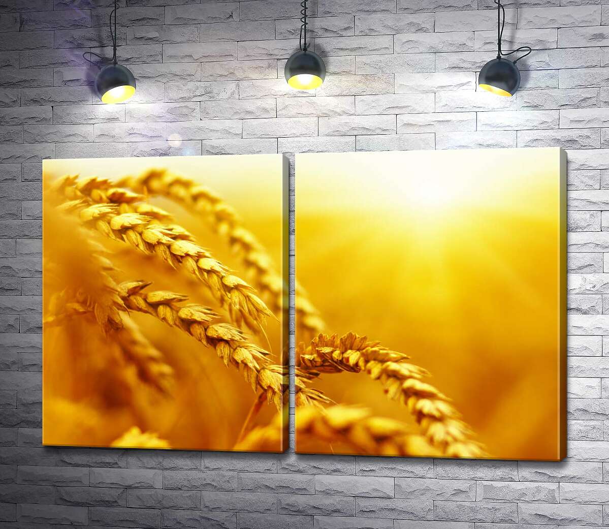 модульная картина Золотые колосья пшеницы, раскрашенные солнцем