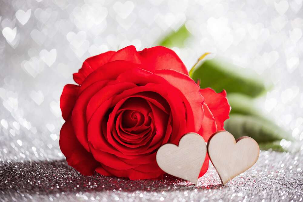 картина-постер Деревянные сердца соединились у красной розы