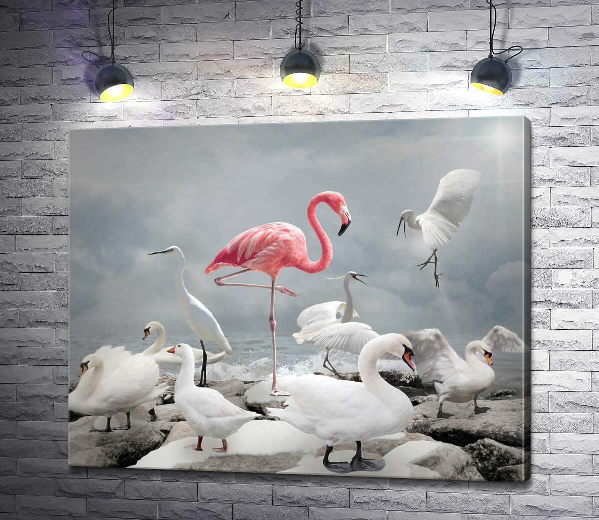 картина Рожевий фламінго серед білосніжний лебедів, чапель та гусей