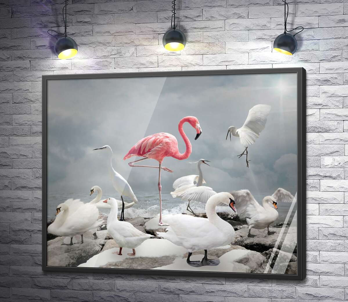 постер Рожевий фламінго серед білосніжний лебедів, чапель та гусей