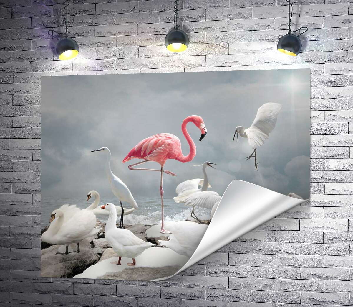 печать Розовый фламинго среди белоснежных лебедей, цапель и гусей