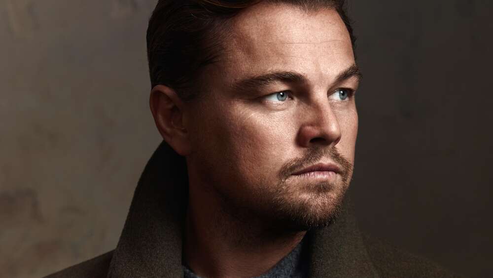 картина-постер Портрет знаменитого актора Леонардо Ді Капріо (Leonardo DiCaprio)