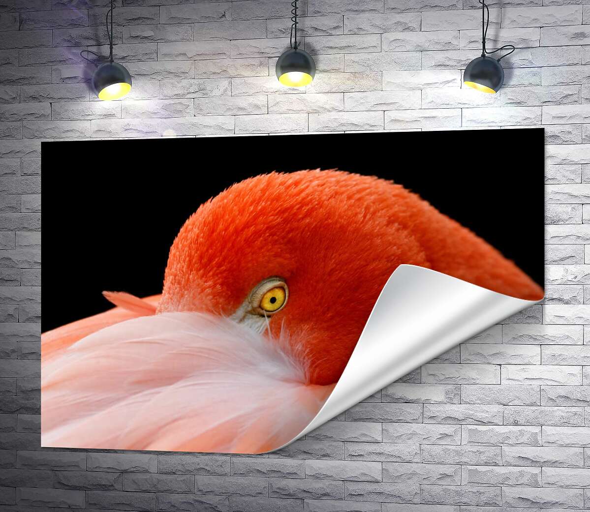 печать Фламинго спрятал клюв в нежно-розовых перьях