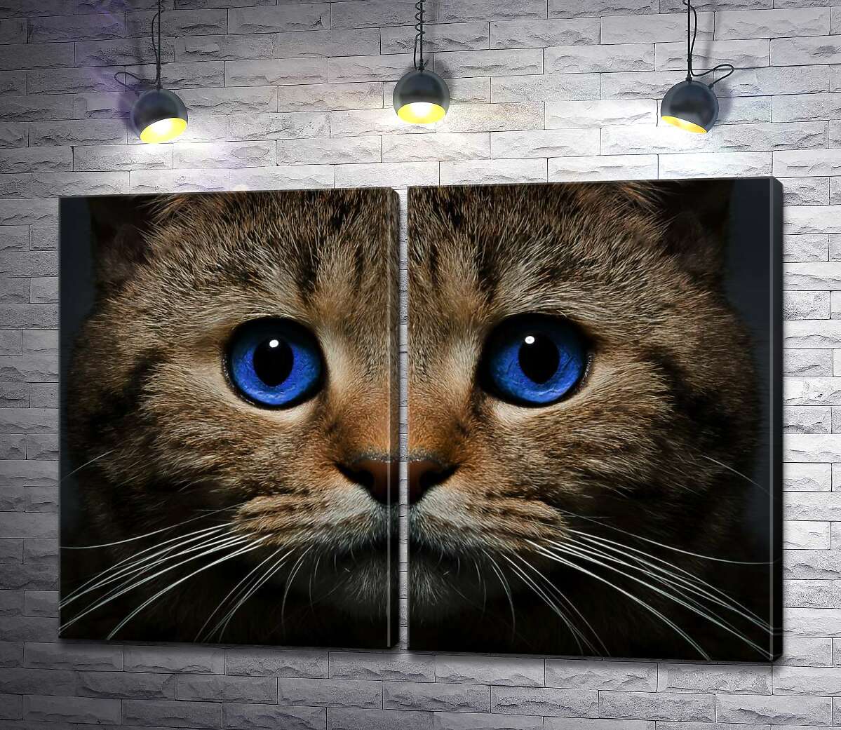 модульная картина Голубизна океана в глазах кота