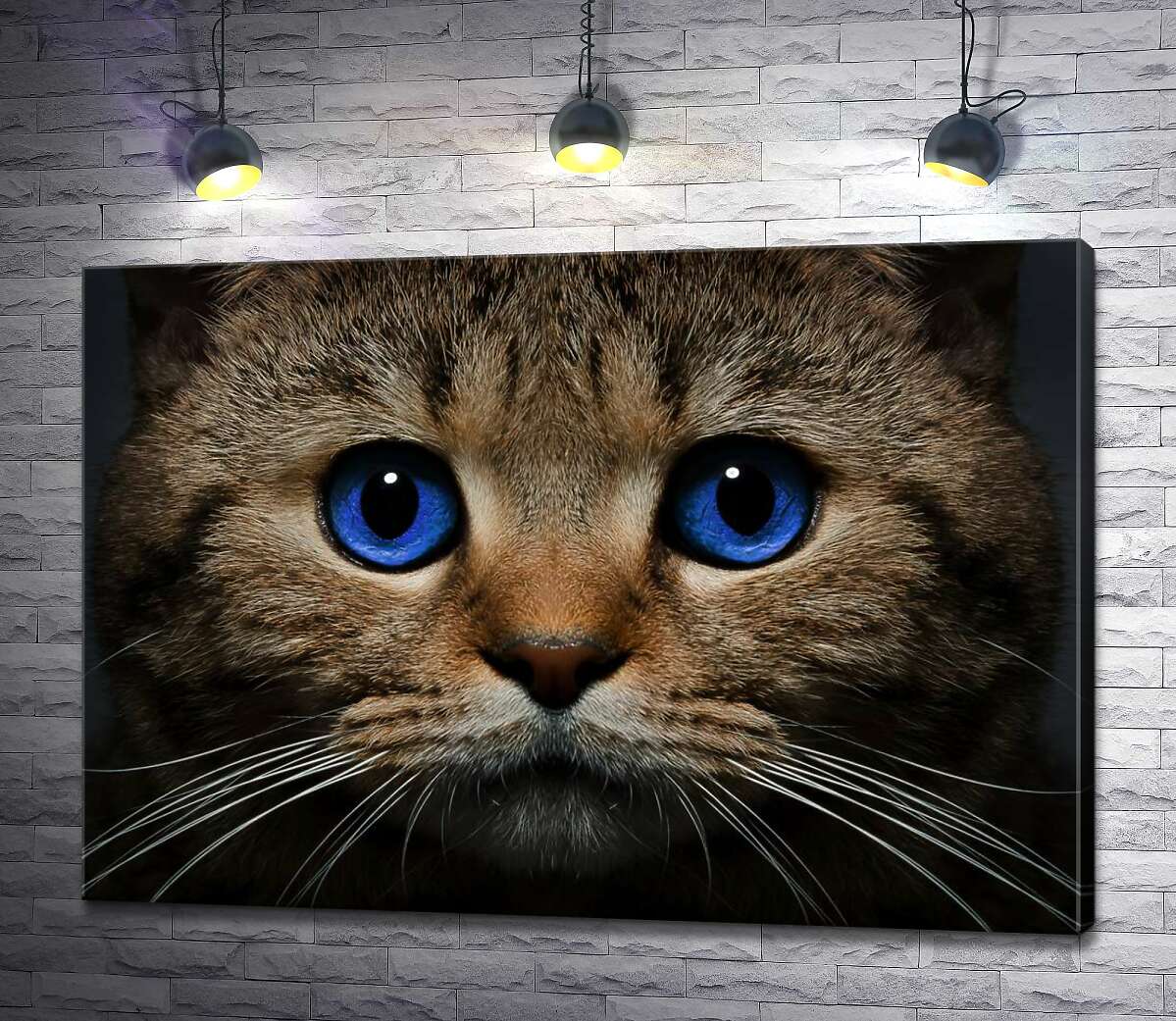 картина Голубизна океана в глазах кота