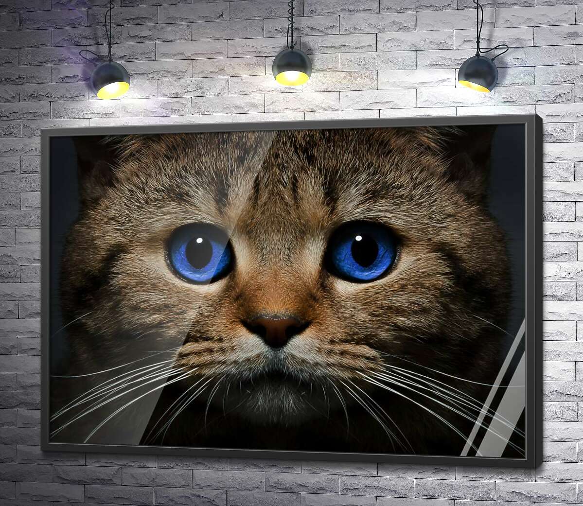 постер Голубизна океана в глазах кота