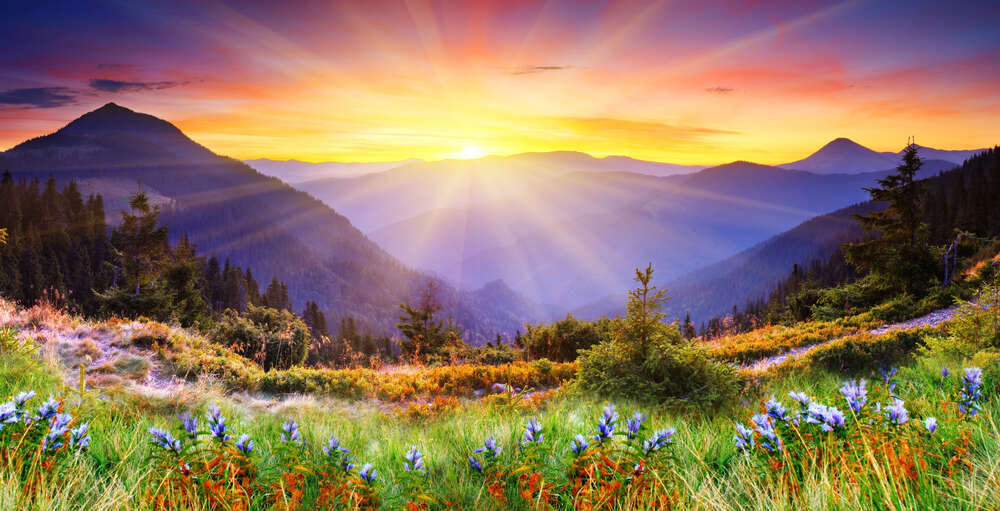 картина-постер Утреннее солнце согревает лучами цветущие склоны гор