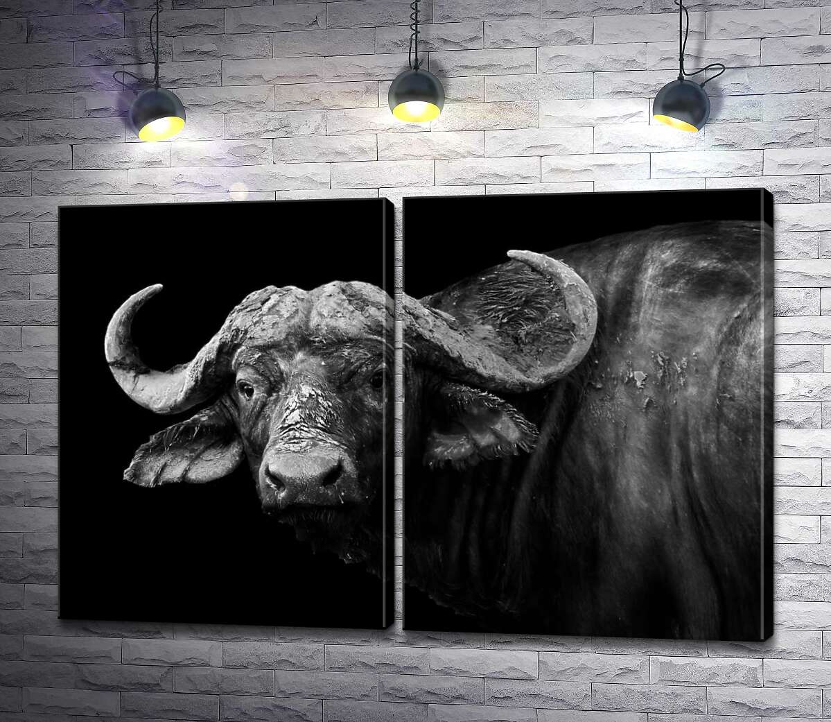 модульна картина Темний силует африканського буйвола