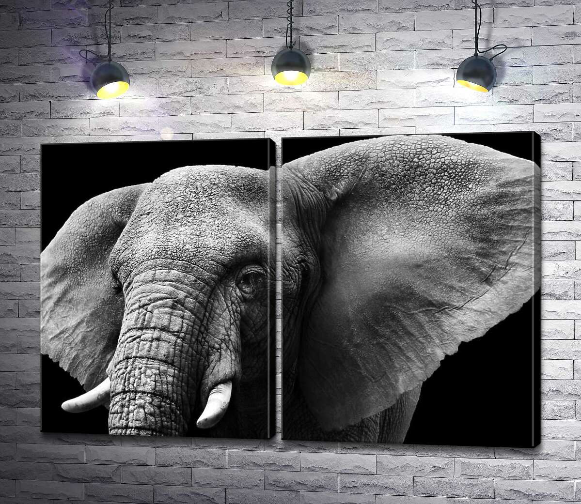 модульная картина Большие уши африканского слона