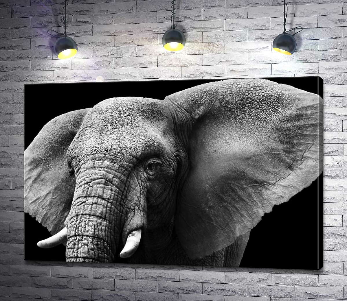 картина Большие уши африканского слона