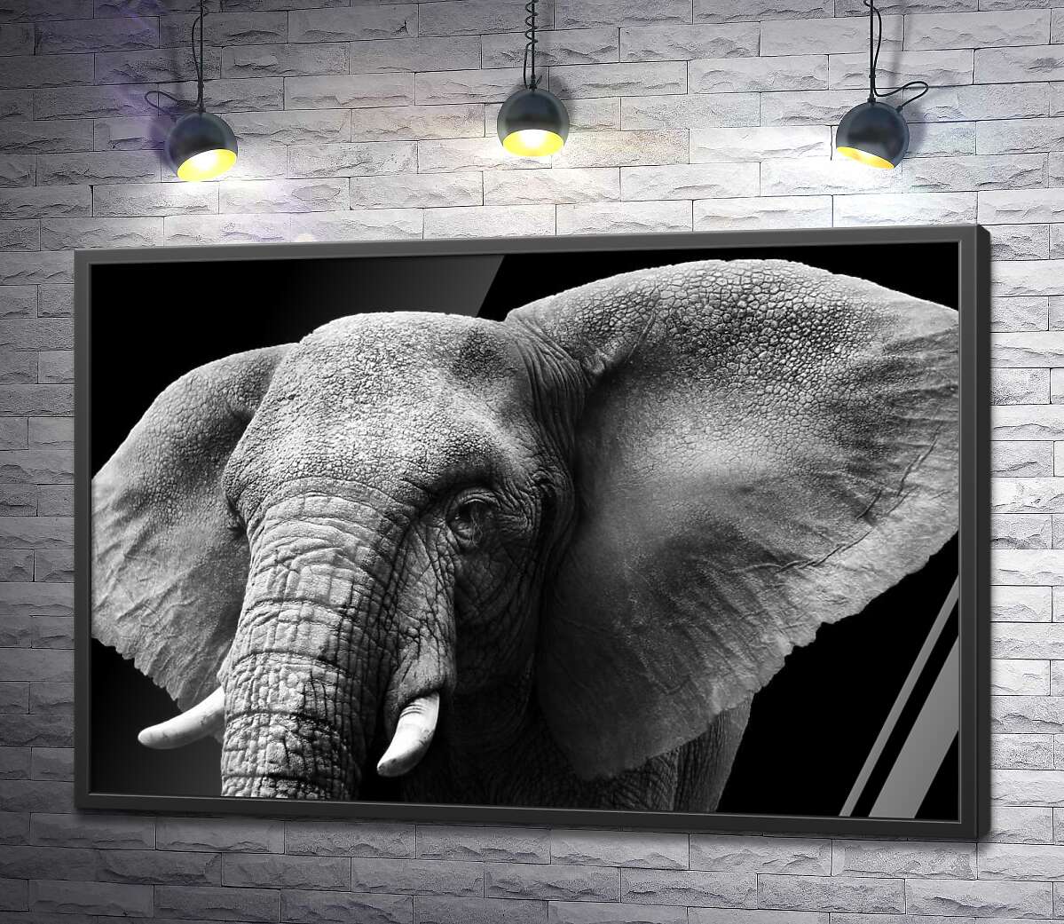 постер Большие уши африканского слона