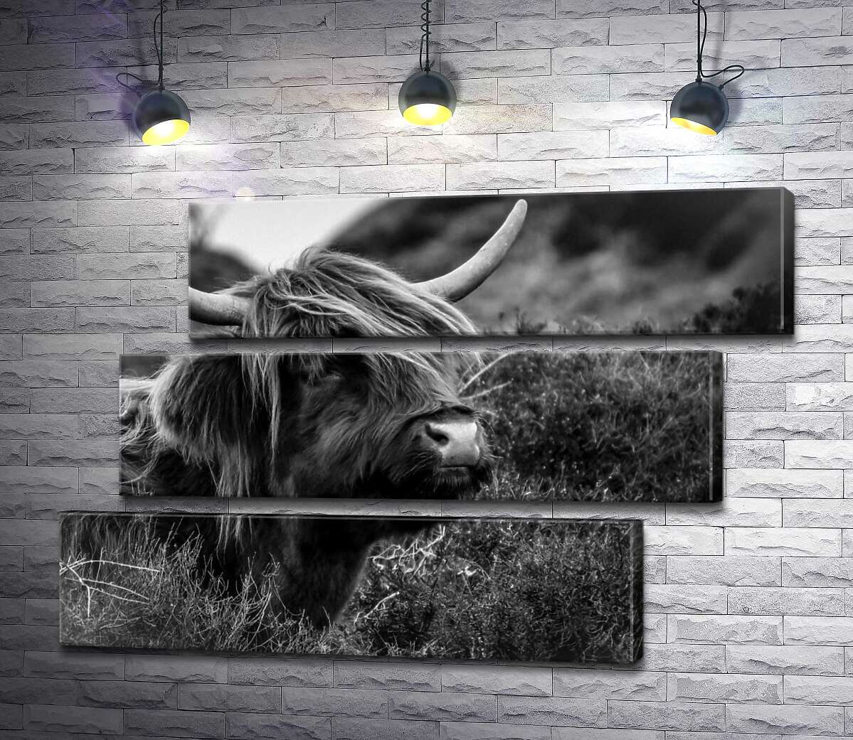 модульная картина Шотландская корова среди зарослей кустов (Модуль №17)