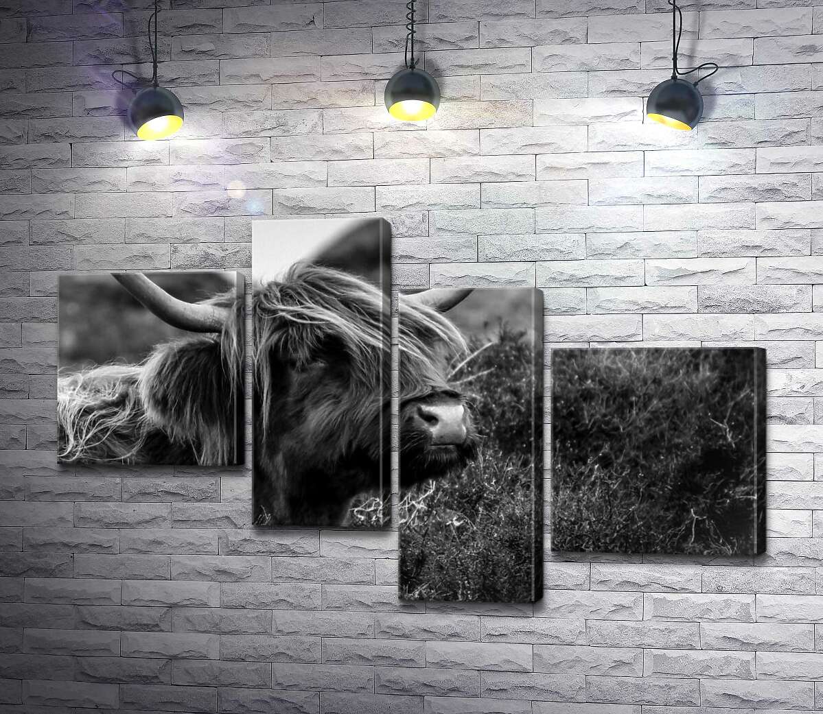 модульная картина Шотландская корова среди зарослей кустов (Модуль №21)