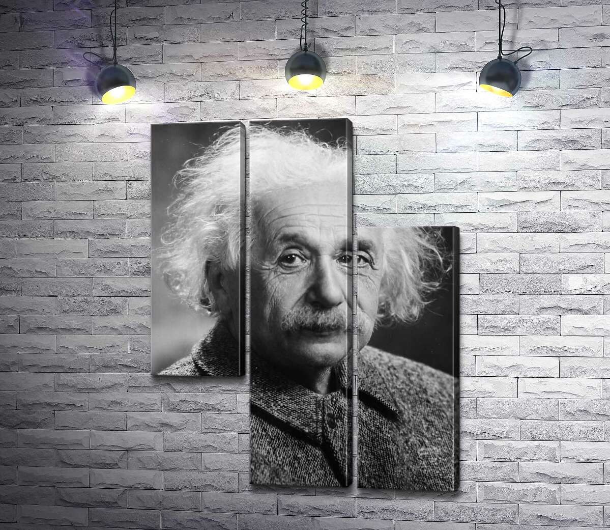 модульна картина Портрет геніального фізика Альберта Ейнштейна (Albert Einstein) (Модуль №13)