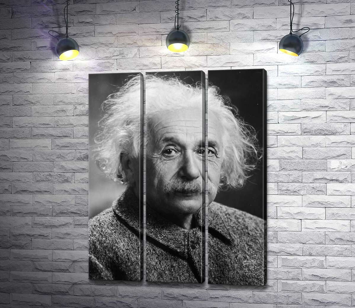 модульная картина Портрет гениального физика Альберта Эйнштейна (Albert Einstein) (Модуль №2)